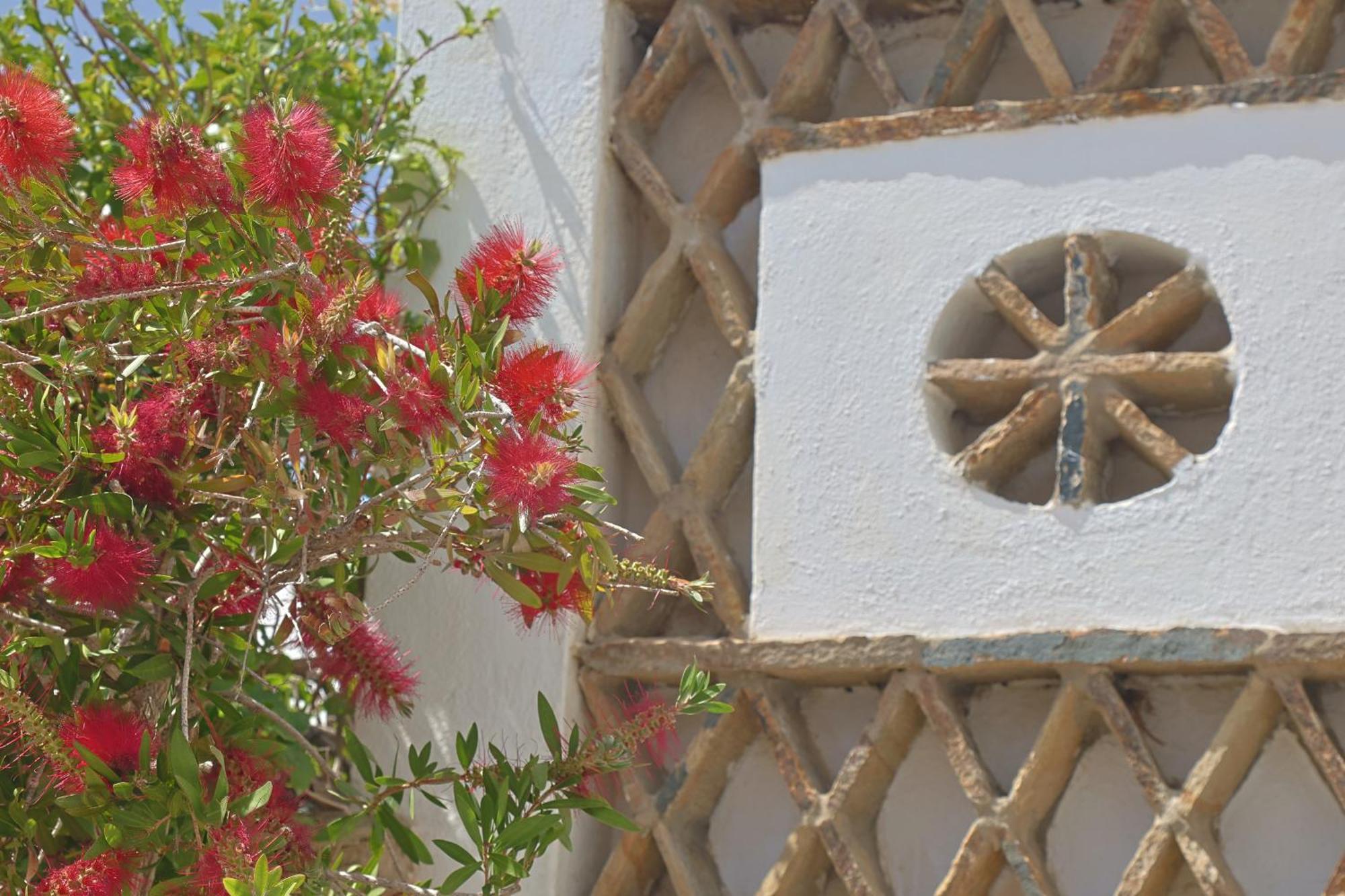 Athos Studios Tinos Exterior photo